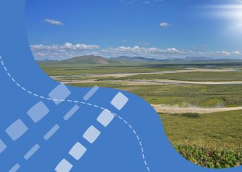 Illegal Gold Mining Uncovered in Kazakhstan’s Turkestan Region